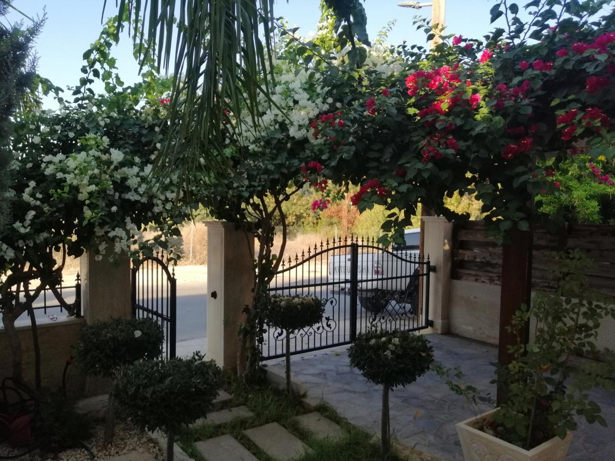 Villa Myria Пафос Номер фото